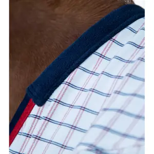 Stable blanket for horse in cotton Premier Equine 310 g image-1
