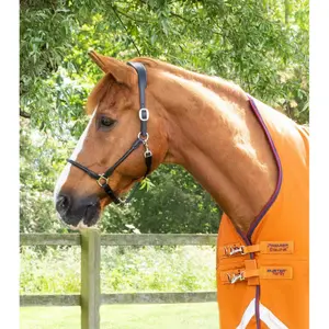 Waterdichte paardendeken Premier Equine Buster Hardy 200 g image-1