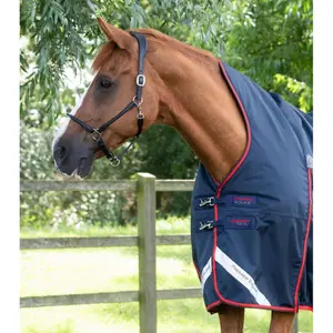 Waterproof outdoor horse blanket Premier Equine Buster Hardy 200 g image-1