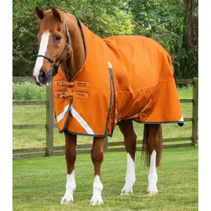 Εξωτερικό κάλυμμα για άλογο Premier Equine Buster Hardy 400g image-0