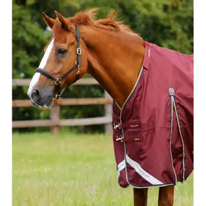 product/p/r/premier-equine_203150brg_burgundy_2.jpg