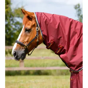 product/p/r/premier-equine_203150brg_burgundy_3.jpg