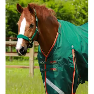 product/p/r/premier-equine_203150g_green_2.jpg