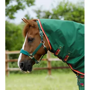 product/p/r/premier-equine_203150g_green_3.jpg