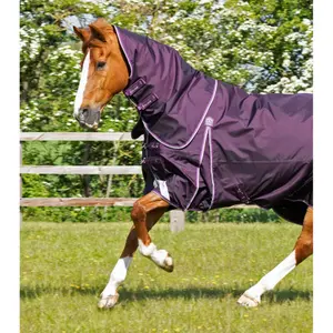 Manta impermeable para caballos con cubrecuello Premier Equine Buster 70 g image-2
