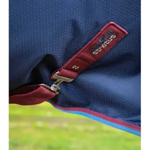 Outdoor-Decke mit Halsteil Premier Equine Akoni Stratus 0g image-3