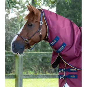 product/p/r/premier-equine_204050w_wine_2.jpg