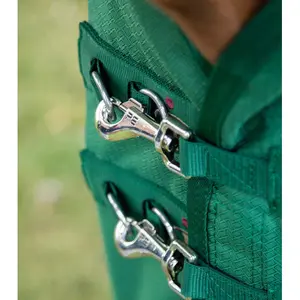 Originalt udendørs hestedækken Premier Equine Akoni 0g image-2