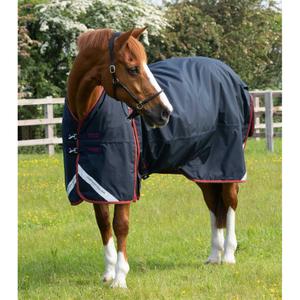 product/p/r/premier-equine_205950n_5.jpg