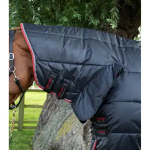product/p/r/premier-equine_206650b_2.jpg