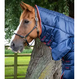 product/p/r/premier-equine_206650n_2.jpg