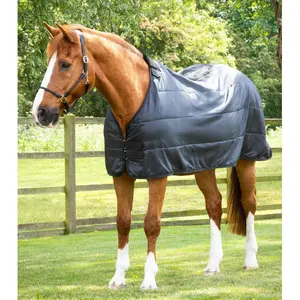 Horse blanket Premier Equine 350 g image-1
