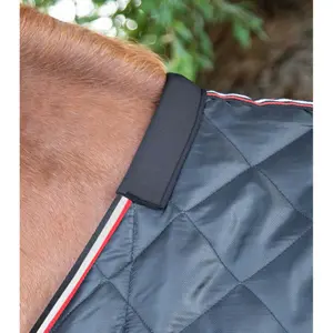 Stable Blanket Premier Equine 100g image-1