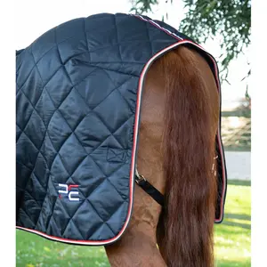 Stable Blanket Premier Equine 100g image-4