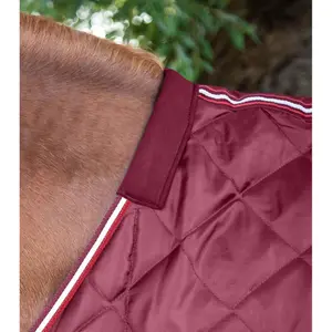 Stable Blanket Premier Equine 100g image-1