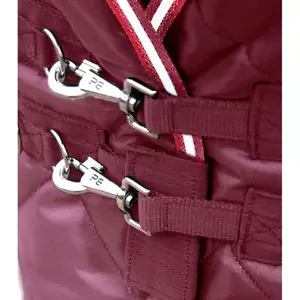 Stable Blanket Premier Equine 100g image-2