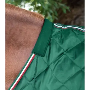 Stable Blanket Premier Equine 100g image-1