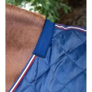 Stable Blanket Premier Equine 100g image-2