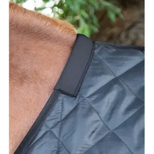 Stable Blanket  Premier Equine Tuscan 200 g image-1