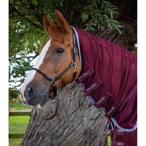 product/p/r/premier-equine_207756wne_2.jpg