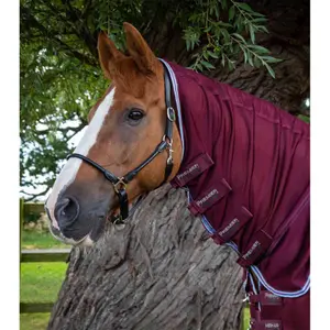Mesh flyswatter with neck cover Premier Equine Combo image-1