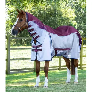 Fly Blanket Premier Equine