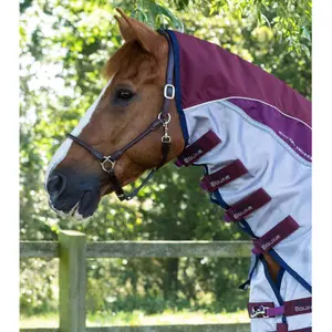 Fly Blanket Premier Equine image-1