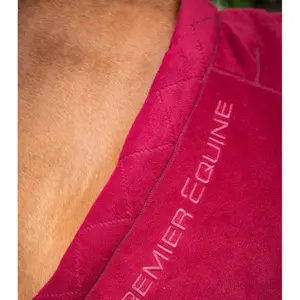 Drying fleece blanket  Premier Equine Buster Continental 280g image-1