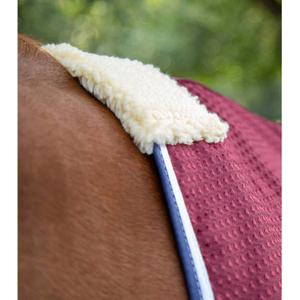 Koeldeken voor paarden Premier Equine Cooler Buster image-2