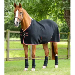 Drying Rug Premier Equine Premtex