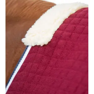 Drying Rug Premier Equine Premtex image-2