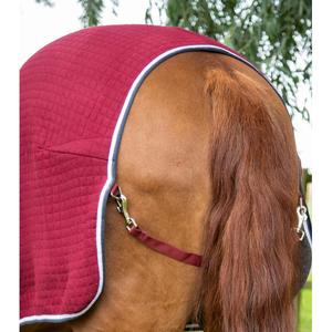 product/p/r/premier-equine_209450brg_burgundy_5.jpg
