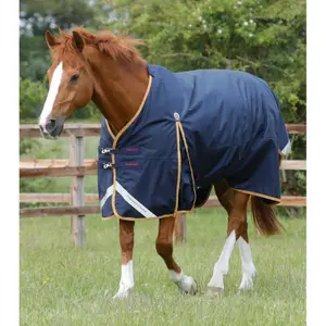 212750-212773-original-vattentatt-hasttacke-premier-equine-buster-original-50-g-marinbla