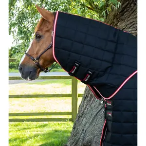 Σκηνή σταύλου για άλογο με κάλυμμα λαιμού Premier Equine 450 g image-1