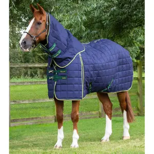 Protetor de pescoço para cavalos estável para cavalos com cobertura de pescoço Premier Equine Lucanta 450 g image-0