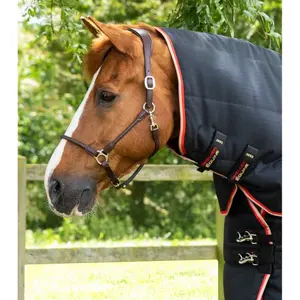 Paardenstaldeken met halsbedekking Premier Equine Stable Buster 450 g image-1