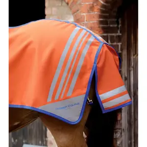 Kidney cover for horse Premier Equine Stratus image-3