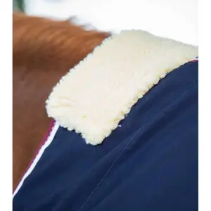 Horse Stable Blanket  Premier Equine Stratus image-1