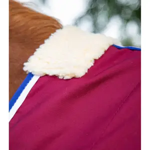 Horse Stable Blanket  Premier Equine Stratus image-1