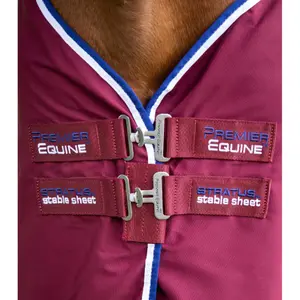 Horse Stable Blanket  Premier Equine Stratus image-2