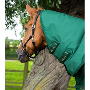 product/p/r/premier-equine_215850gre_green_2.jpg