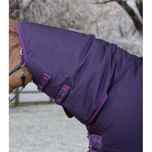 product/p/r/premier-equine_215950prp_purple_2.jpg