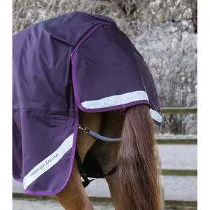 Waterproof outdoor horse blanket with neck cover Premier Equine Buster Storm Classic 420 g image-4