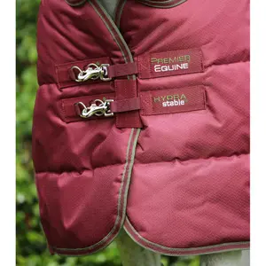 Horse stable blanket with neck cover Premier Equine Hydra 350g image-1
