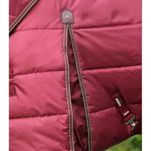 Horse stable blanket with neck cover Premier Equine Hydra 350g image-2