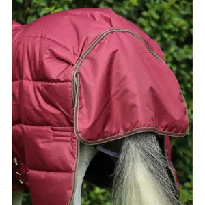 Horse stable blanket with neck cover Premier Equine Hydra 350g image-5
