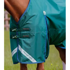 product/p/r/premier-equine_216650g_green_2.jpg