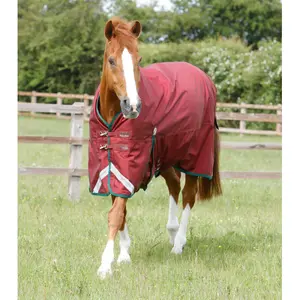 217250brg-hasttacke-for-utomhusbruk-premier-equine-titan-100-g-vinrod