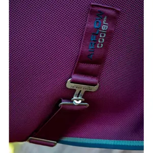 Chemise pour cheval Premier Equine Airflow Cooler image-2