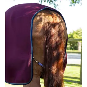 Chemise pour cheval Premier Equine Airflow Cooler image-3